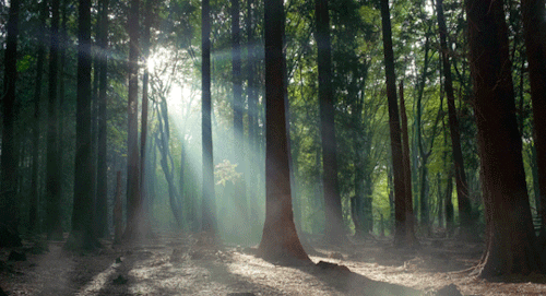 ハーモニックD手法を使い、ライン上で現在地と目的地を一貫して分析する無裁量トレードのイメージ
